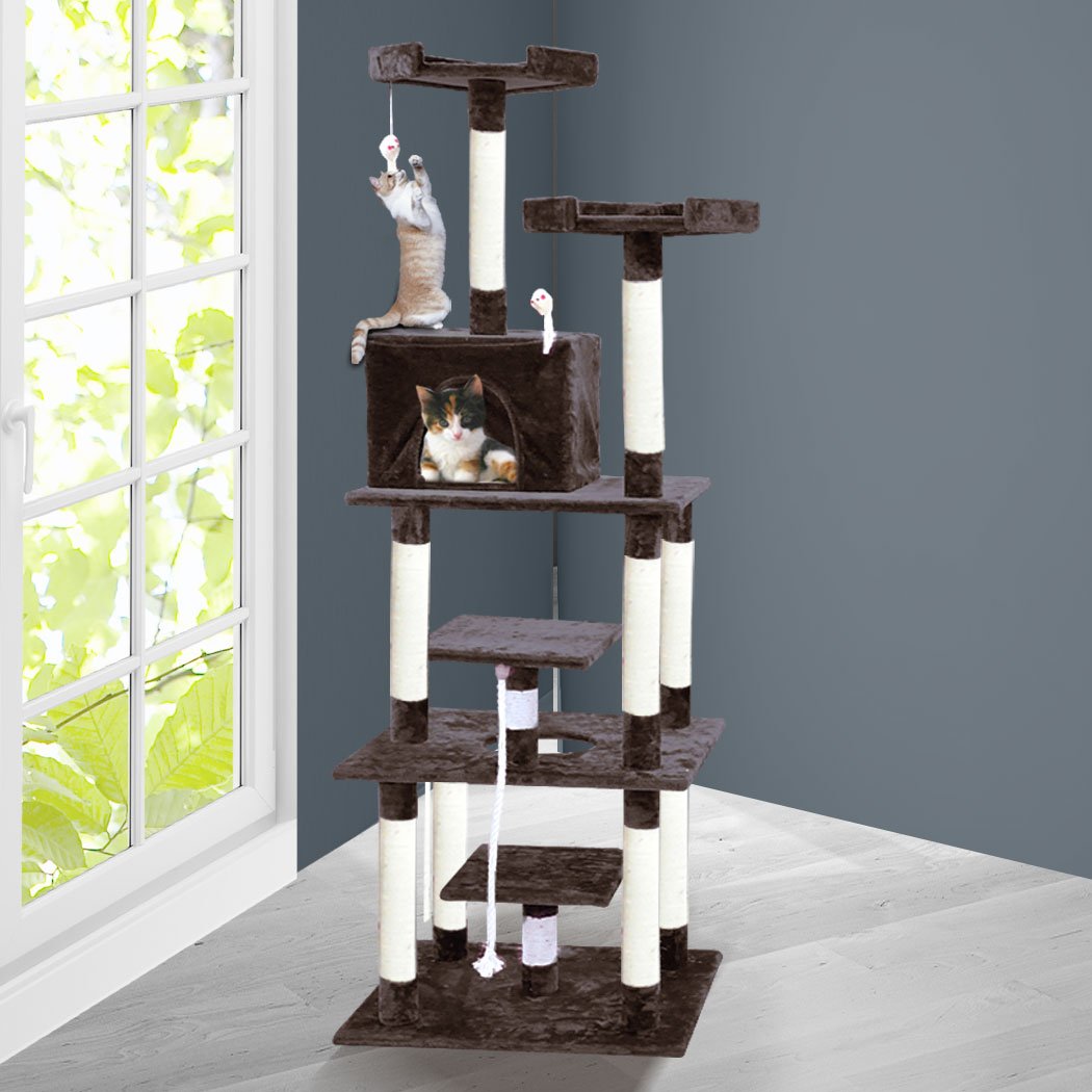 PaWz 1.98M Cat Scratching Post Tree Gym in dark brown, featuring multi-level platforms, sisal-wrapped posts, and plush covering for cat comfort.